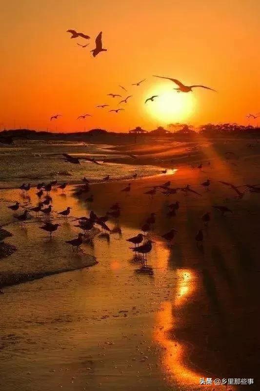 惊艳,百年罕见的绝世美照