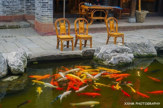 成都本地人去的最好吃的美食,中国姑娘吃成都美食