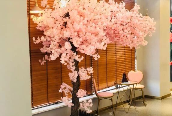 开学前的限定时光，只想泡在这几家韩料店里