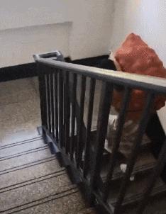 把中间的门店租下来取什么名字好,租下门面不知道取什么名字