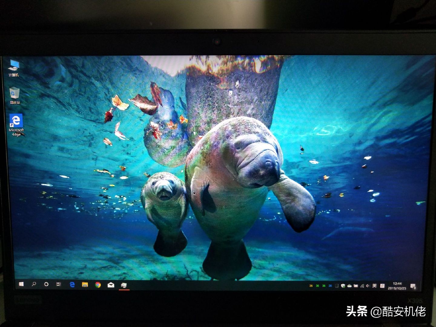 性价比最高的thinkpad,最值得买的thinkpadt480