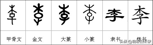 千字文中果珍李柰下一句是什么,千字文里边的果珍李柰怎么读