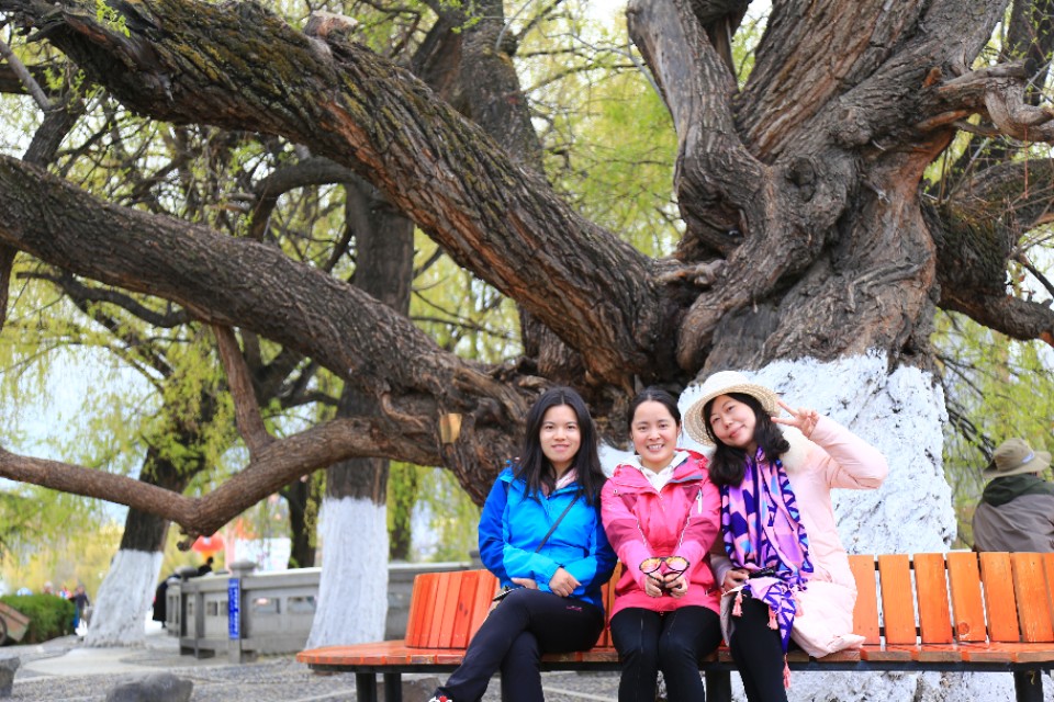 西藏旅游川进青出16天环线攻略,盘点西藏自驾游9条经典线路