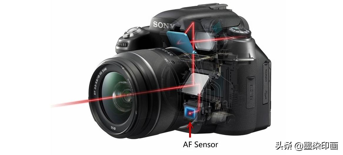 单反和微单哪个更适合新手,摄影新手适合单反还是微单