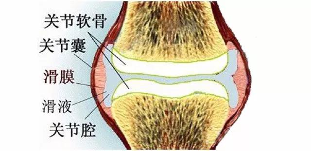胳膊肘肿胀有积液冰敷还是热敷好,髋关节有积液热敷还是冰敷