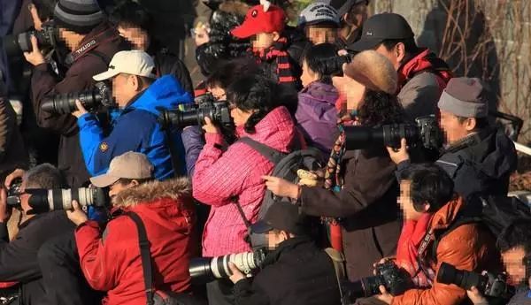 怎样学习摄影拍照技术,学习拍照技术技巧