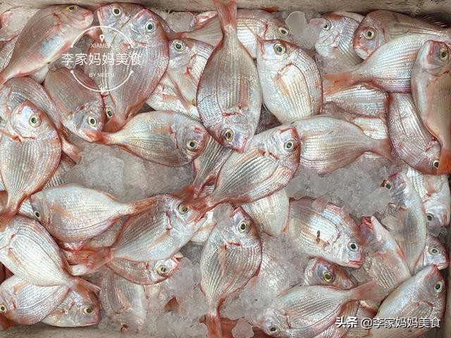 泉州休渔期什么时候结束,泉州休渔期2022时间表