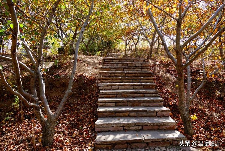 竹泉村景区,最美竹泉村