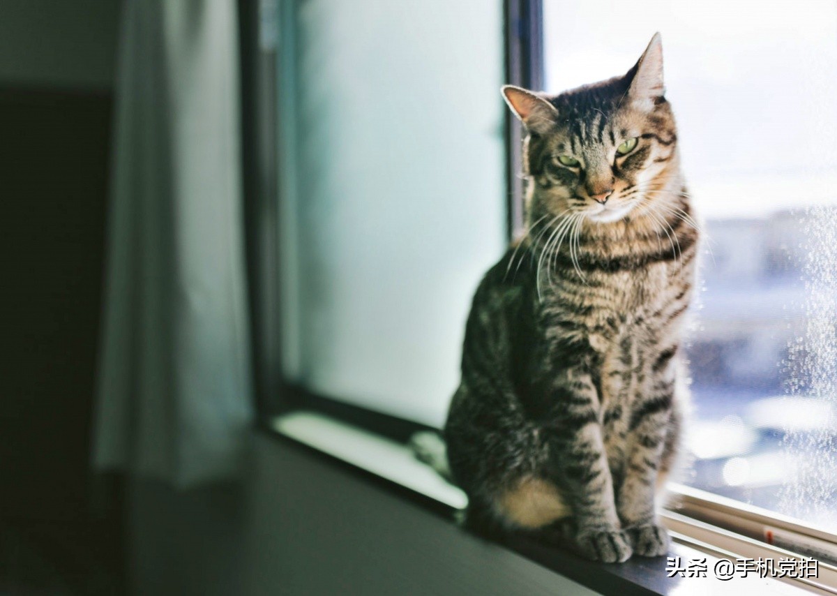 教你宅家拍氛围感大片有手就行,宅家就能轻松拍大片