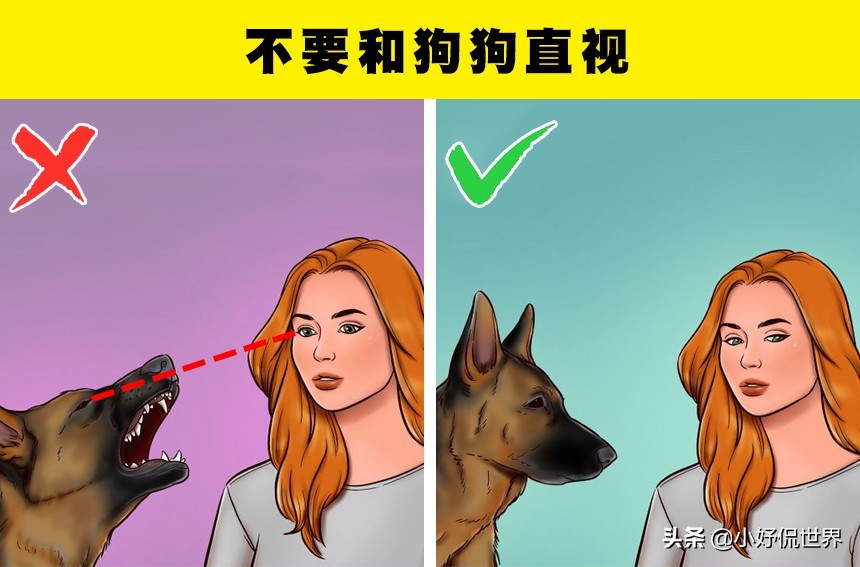 怎么让狗狗对你放下戒备心理,如果狗狗对你有攻击性该怎么办