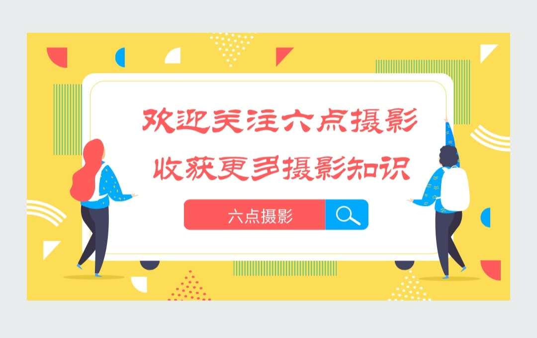 鸟类摄影拍摄技巧和精美照片展示,怎么拍摄鸟类视频