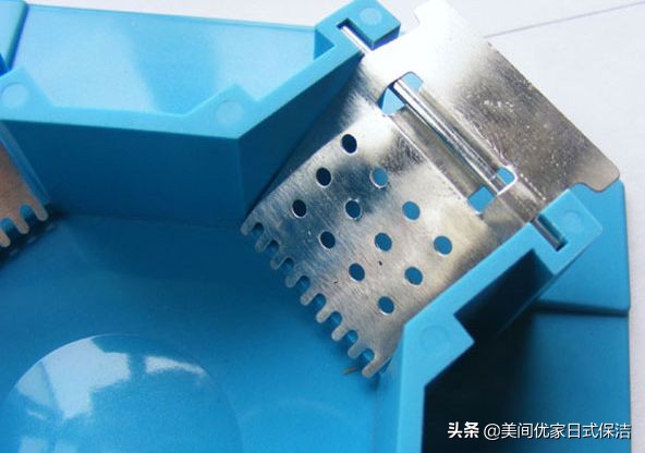 家居常见虫图片大全,家居虫类科普图文