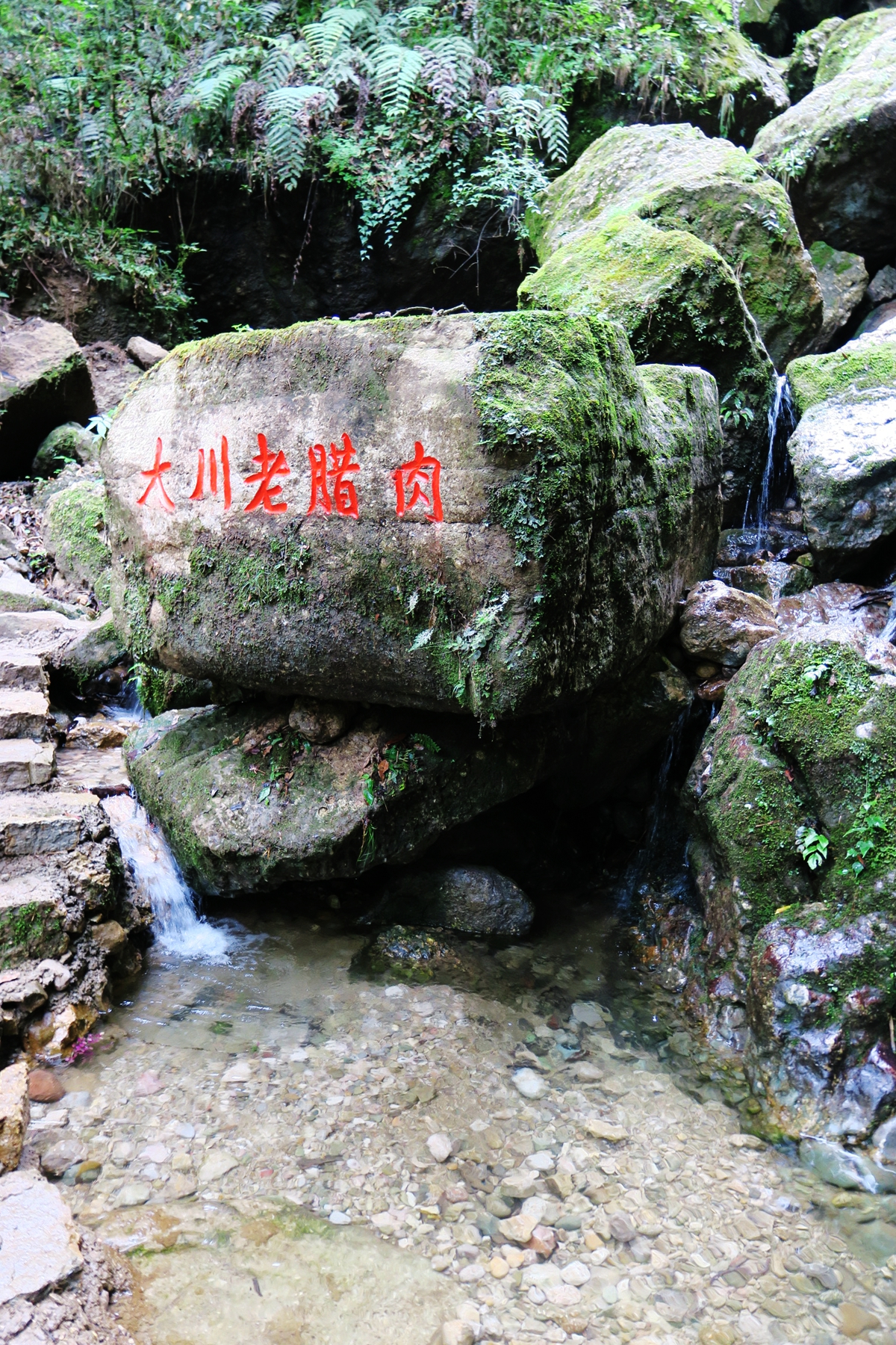 猴山飞瀑,猴山飞瀑旅游区地图