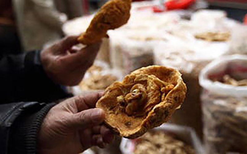 生完小孩胎盘怎么处置的,生完孩子的胎盘怎么处置