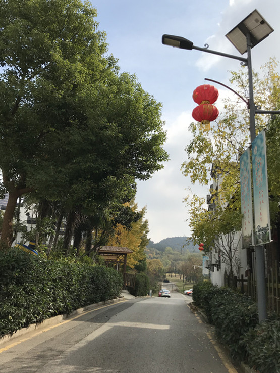 采菊东篱下悠然见南山拙政园,采菊东篱下悠然见南山芒种