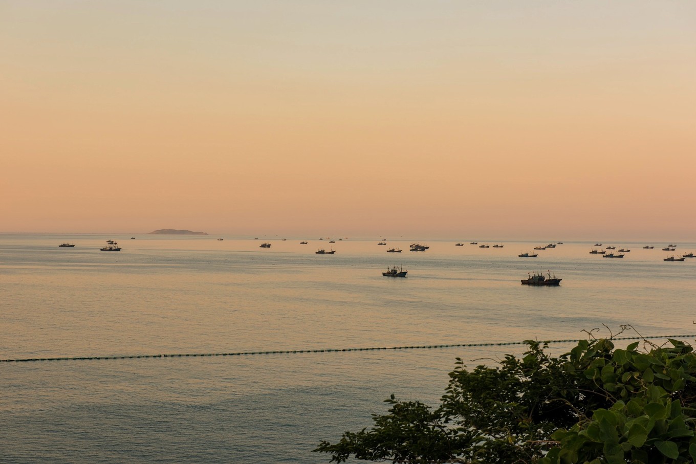 度假的袋鼠,青岛旅行的袋鼠