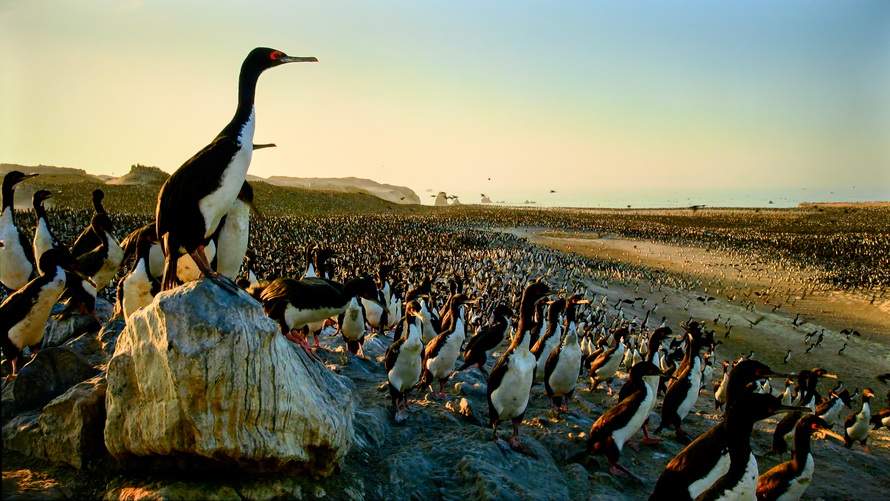 创维电视65g22pro好还是g32pro好,创维电视g22有什么功能