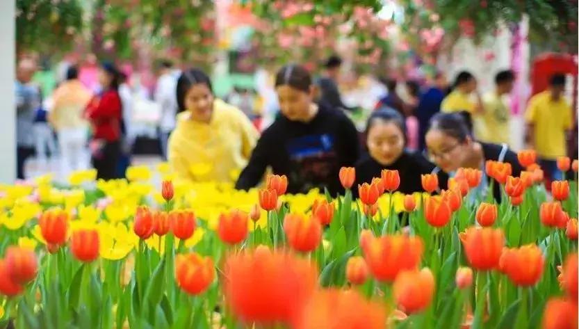 广州三八妇女节特惠景点晚上,广州哪里有三八妇女节免费景点