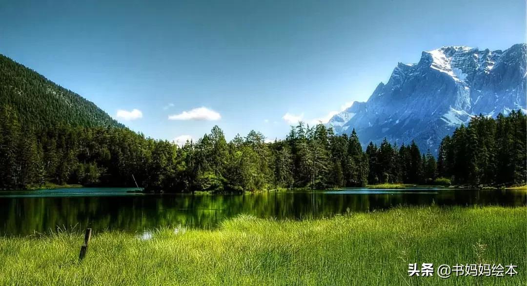 植树节绘本故事树真好完整版,关于植树节的绘本故事树真好