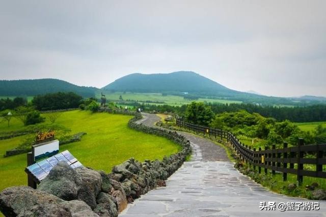 济州岛五天四晚超详细攻略，纯干货呦