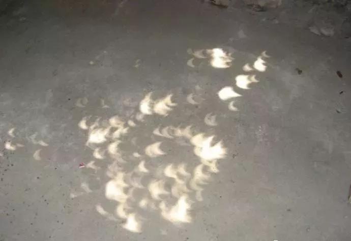 快抬头看！今天福建天空上演“天狗食日”奇观！第一波网友图来了