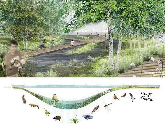 地被植物怎样养护,地被植物怎么种