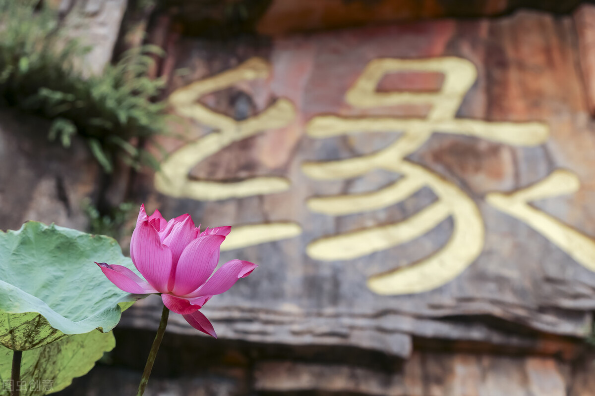 站混元桩真的有用吗,练习混元桩的好处