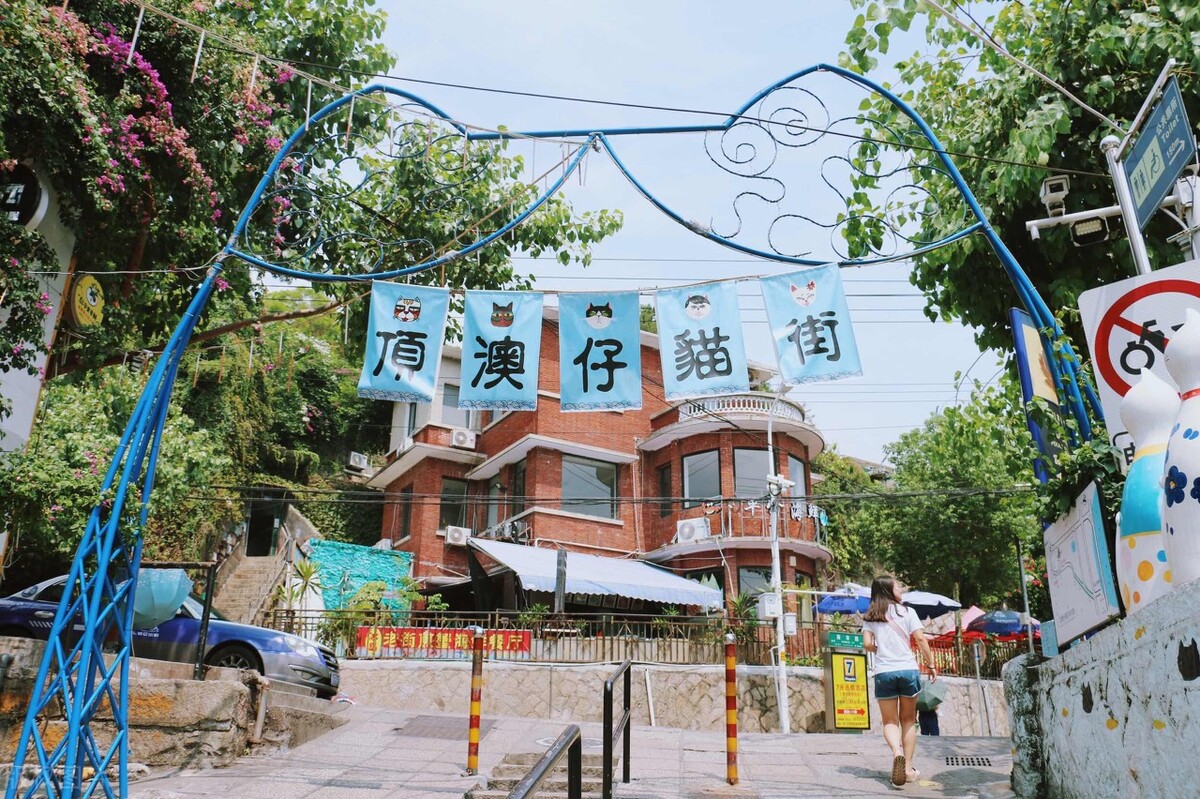 厦门顶级猫街介绍,厦门猫街值得去吗