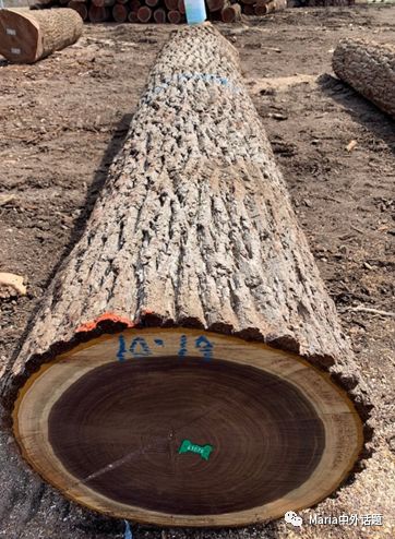 美国硬木干货价格,北美硬木排行