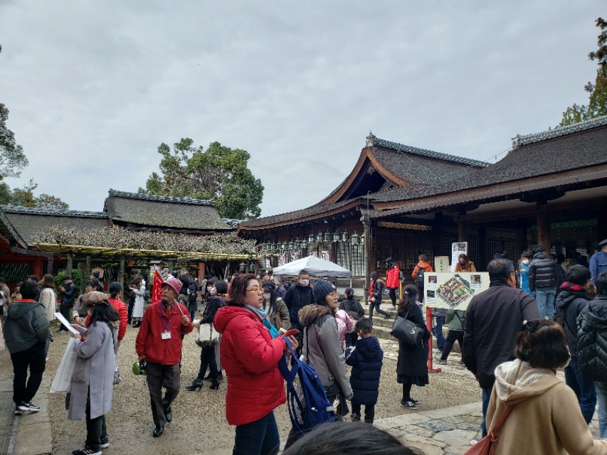 如果你今生只想去一次日本，千万别跟我一样，报这样的旅行团五