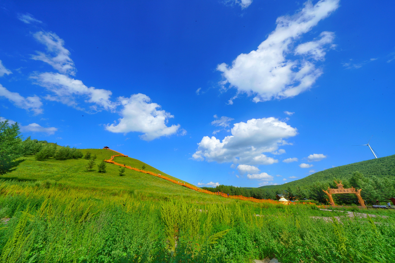 如何对付炎热的高温,炎炎夏日应对冬天