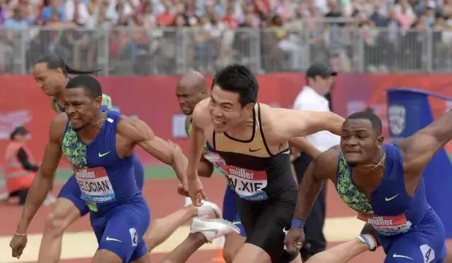 霍顿的真面目,霍顿后来的结局