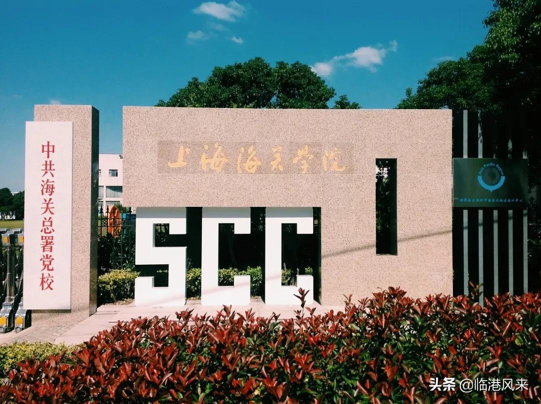 上海有值得一逛的大学吗,上海各大学最适合参观的校区
