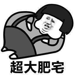 马屁股决定铁轨的宽度,马屁股的结构