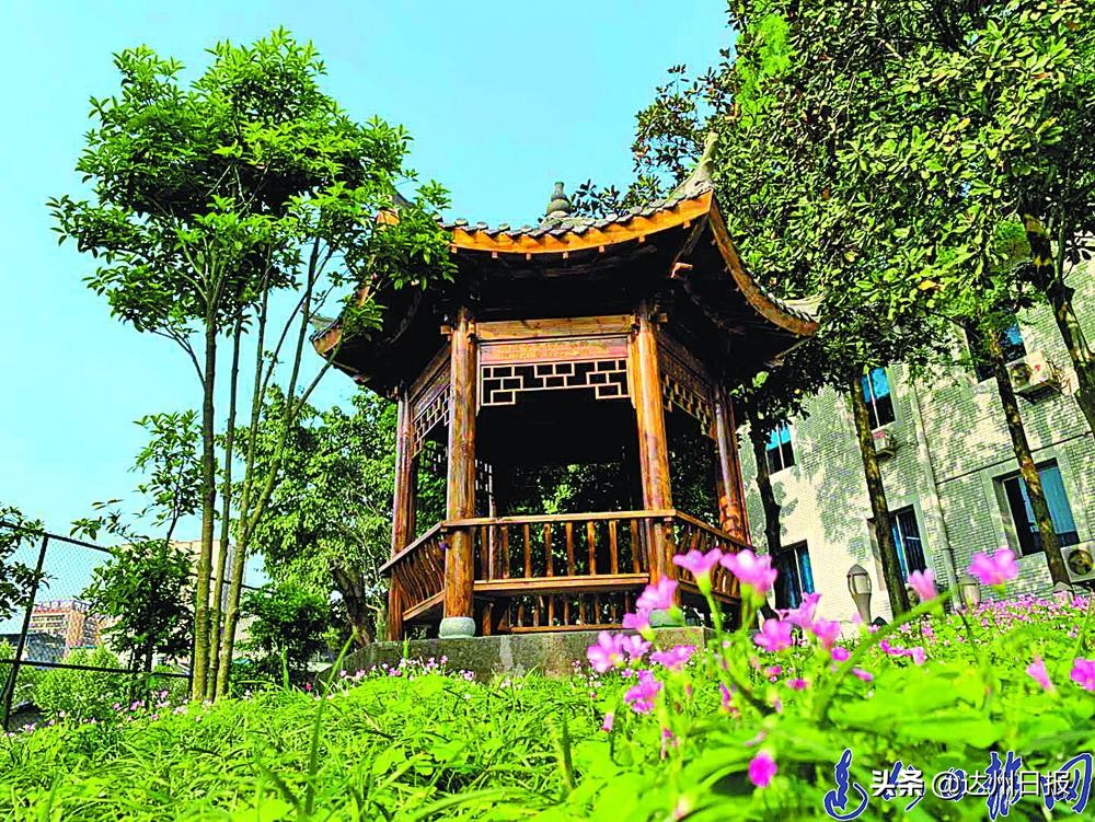 一所学校的破局与蝶变,一所百年名校