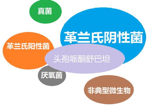 看图“话”抗菌谱，赶紧收藏