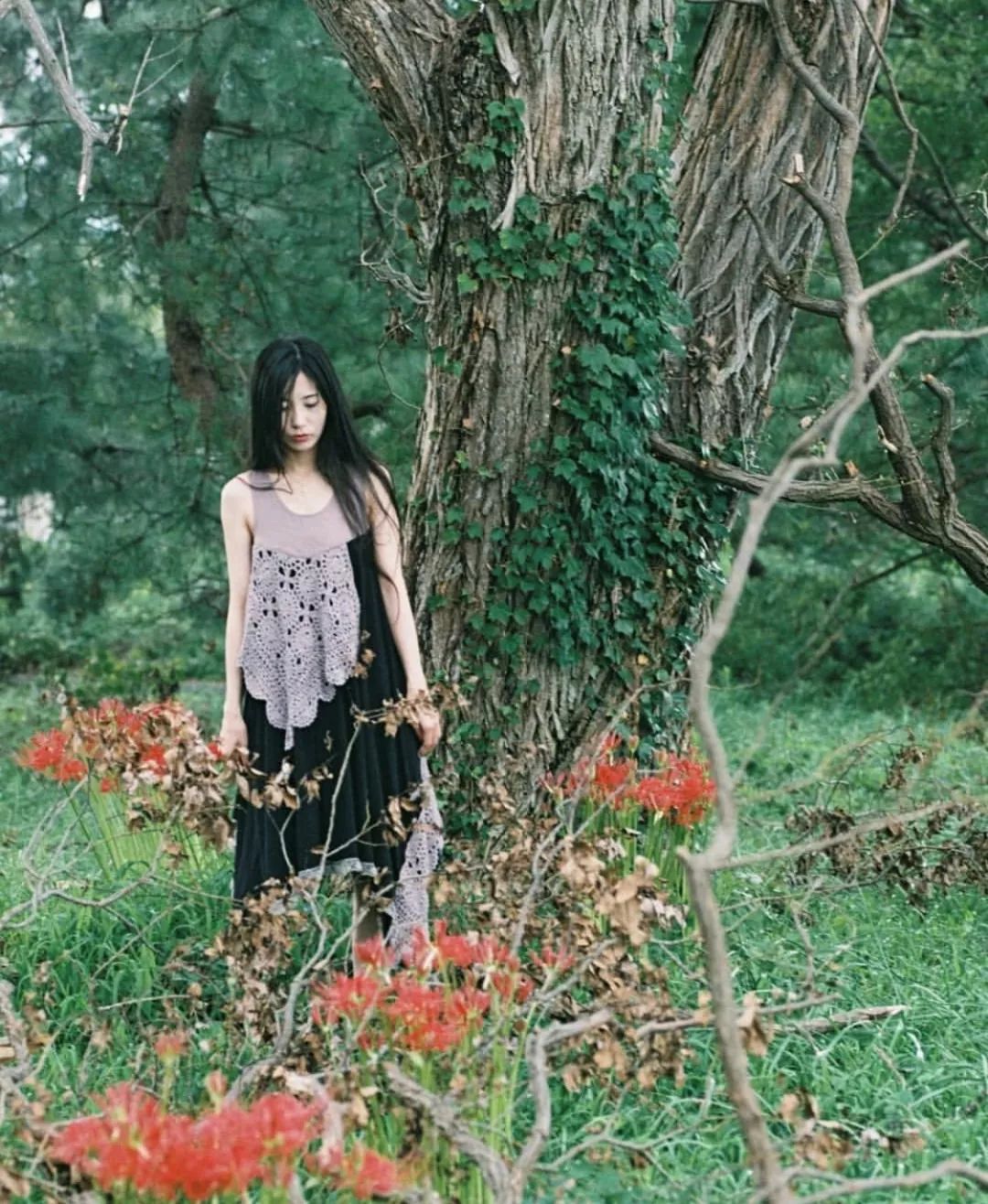 大阪两天攻略,最新日本大阪攻略