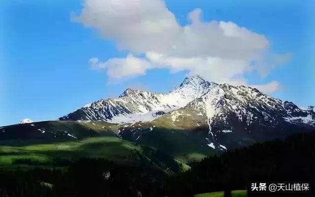 大美新疆百里画廊,北疆千里画廊打卡点