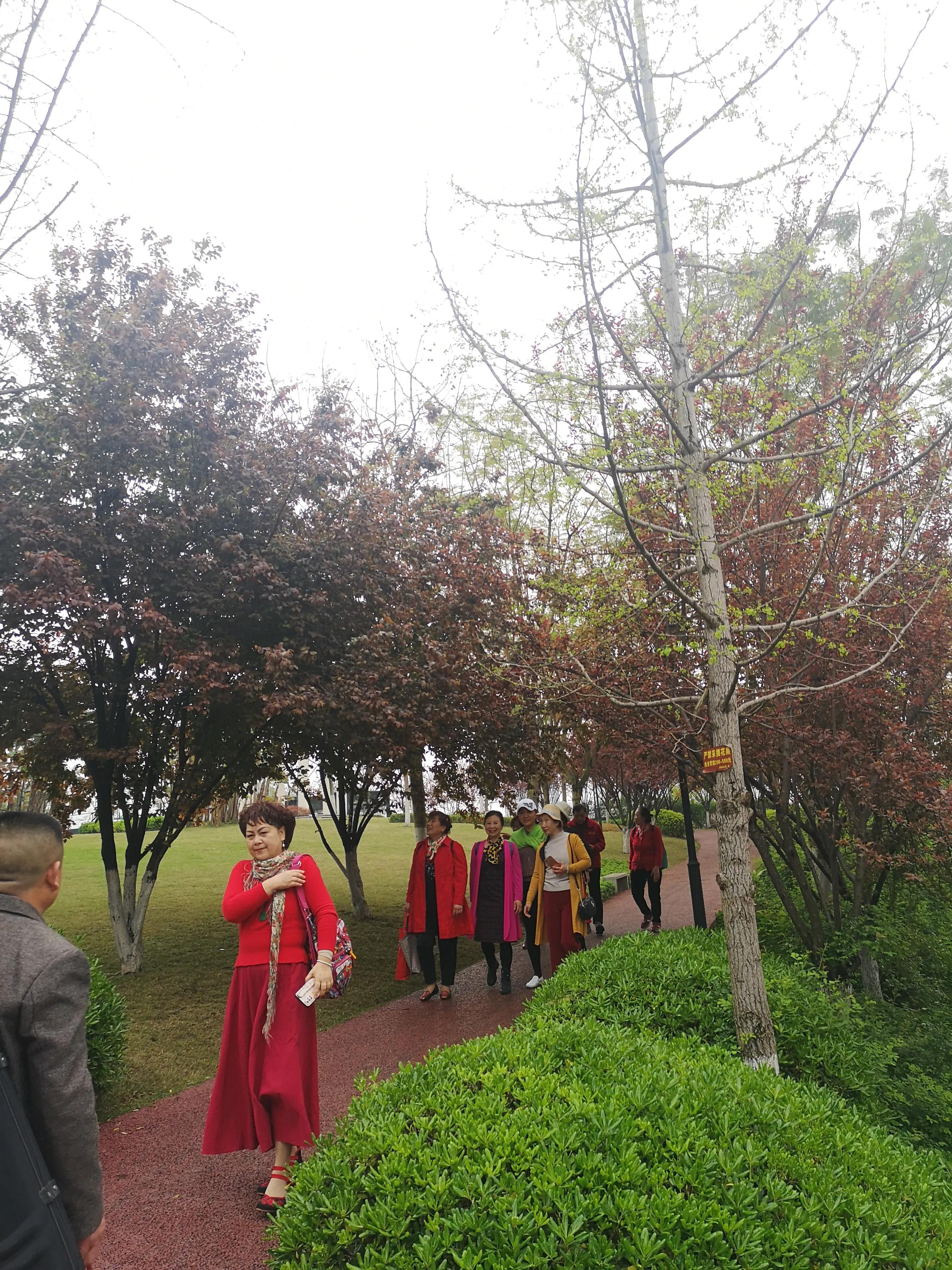 春游和姐妹踏青,春游踏青姐妹拍照