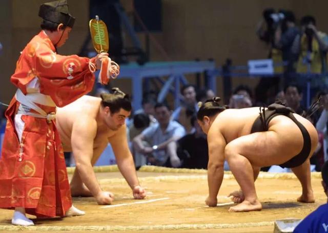 日本女星嫁相扑,日本女星嫁相扑运动员