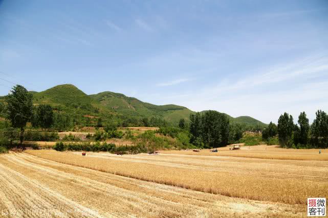 大山深处小麦开割，庄稼地里有人送来承诺书，现场签字