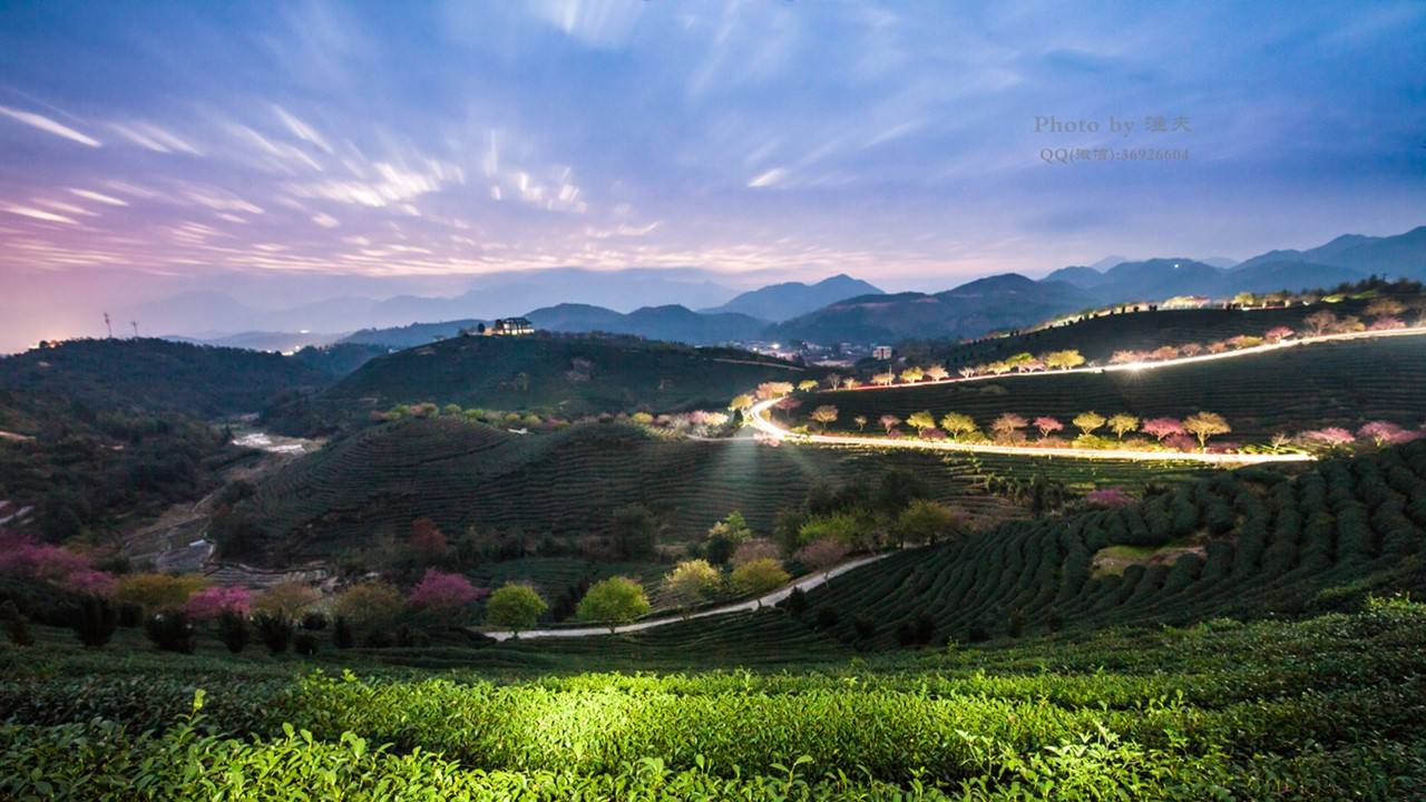 揭露蜂蜜市场惊天骗局,卖蜂蜜网红杨霞事件