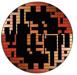 每天学一个单词二次元,每天学一个单词reverent