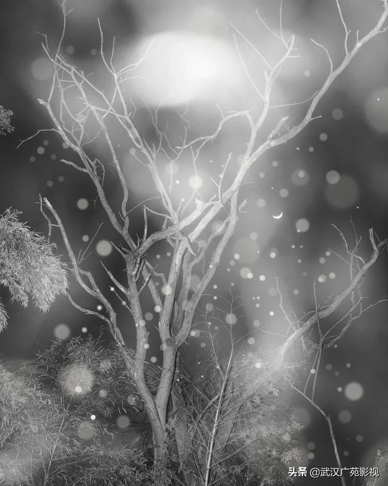 黑白摄影艺术魅力,黑白摄影的魅力可谓精妙绝伦