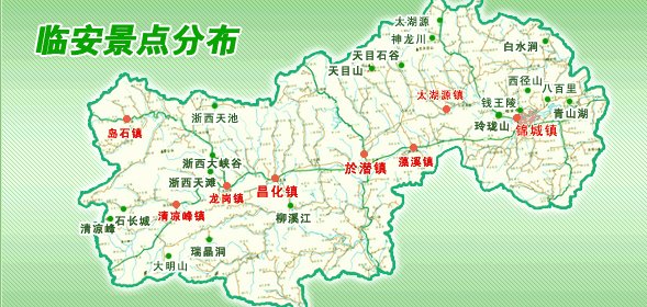 临安山野小核桃,临安高山山核桃