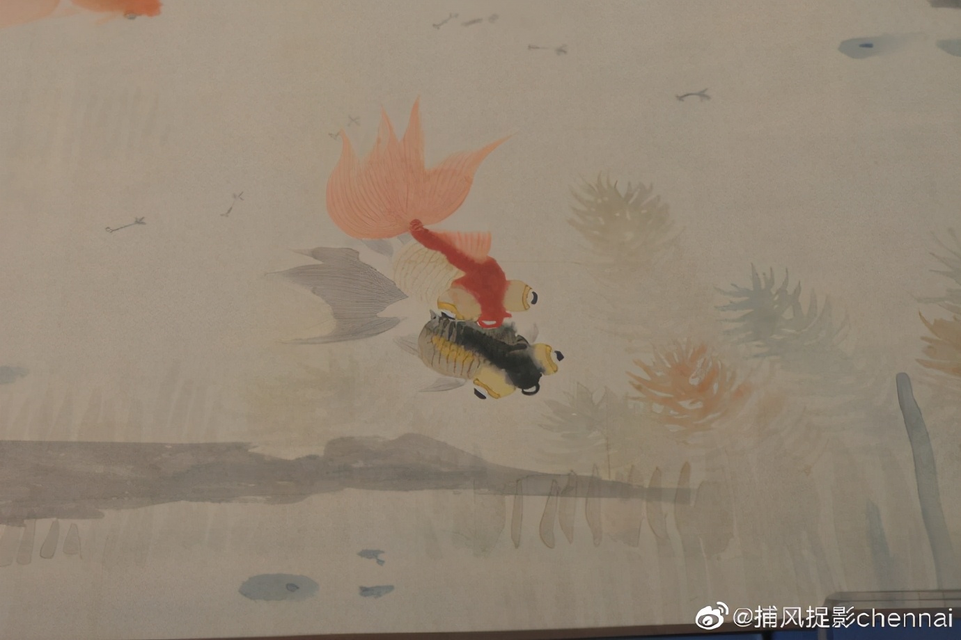 金鱼展和金鱼题材*物文**展