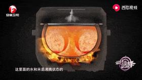 日本电饭煲pk大松电饭煲,日本电饭煲哪一款最好