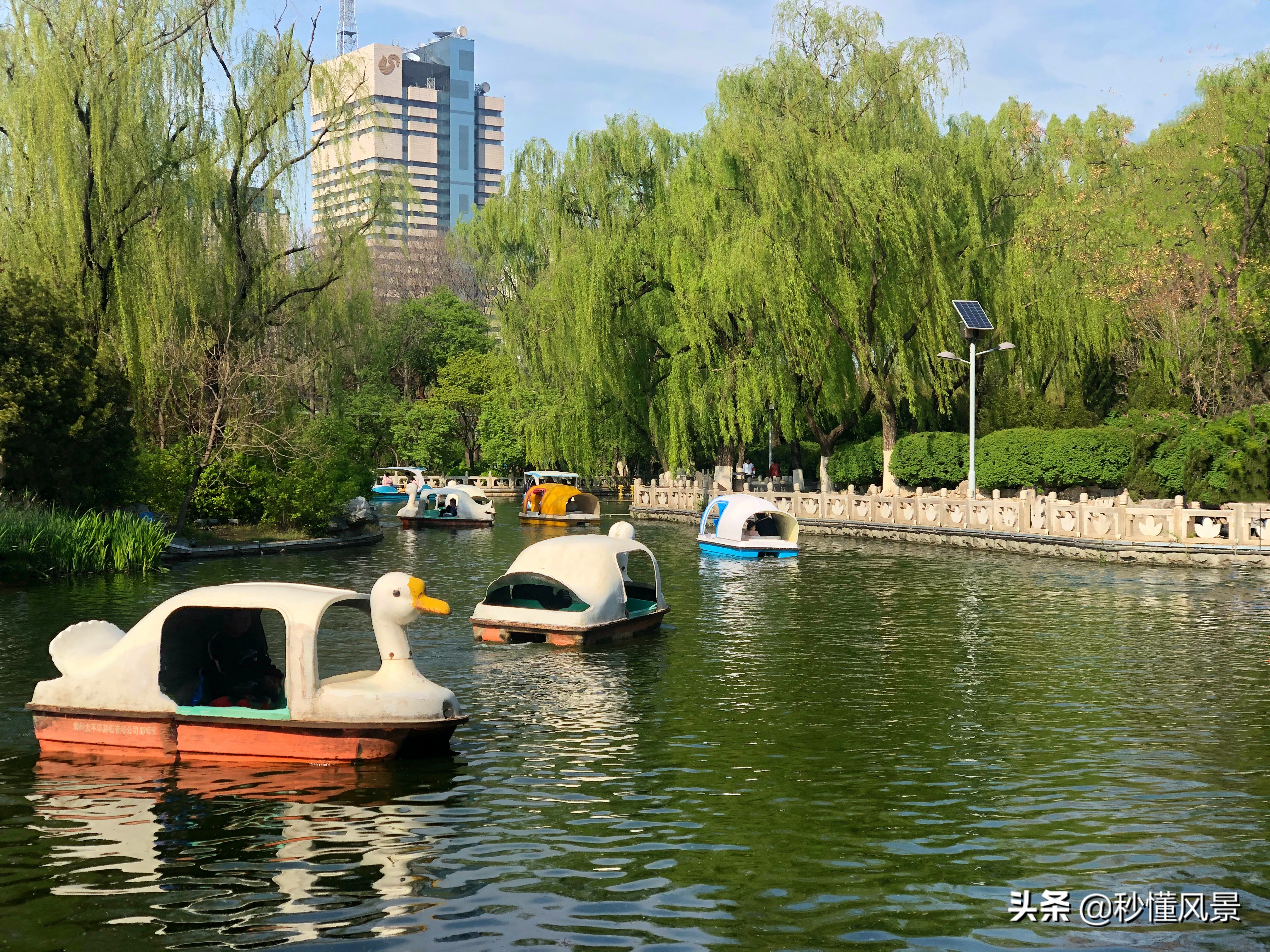 济南秋季周边遛娃景点推荐,济南周末看花遛娃