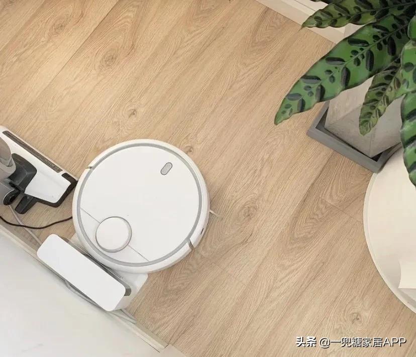 吐血整理二十个常用的小家电,不会选日常用品