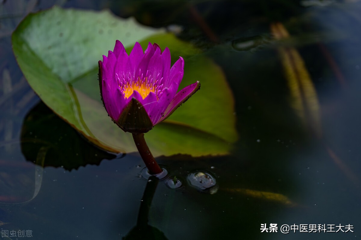 脾肾阳虚脉象沉,脾阳虚寒湿盛心阴不足